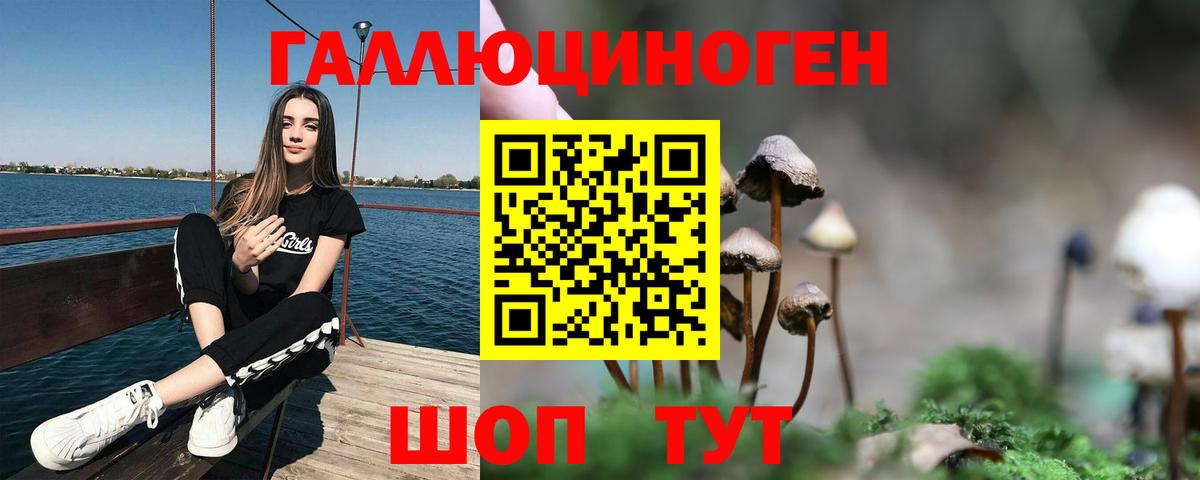 закладки  Галлюциногенные грибы MAGIC MUSHROOMS  Галлюциногенные грибы MAGIC MUSHROOMS  Вход с VPN  Минеральные Воды 